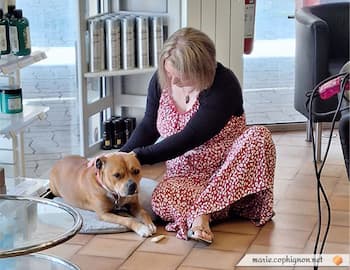 Marie lors de sa première séance de Reiki avec Sanka, une chienne